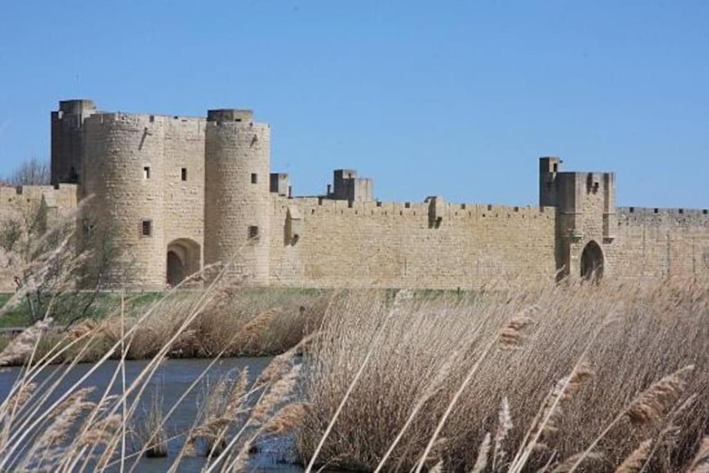Chambre A 500 M Des Remparts Aigues-Mortes Dış mekan fotoğraf